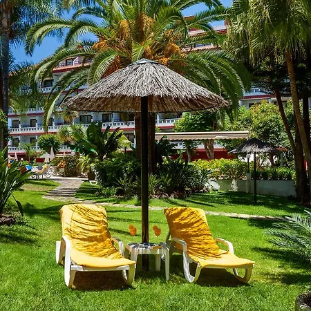 Masaru Puerto de la Cruz (Tenerife)